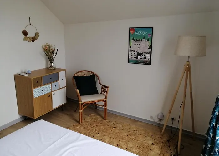 Bel Appt 3 Pieces, A L\'Etage, Jardin Privatif, Au Calme, 10 Mn Saumur Et Cnpe