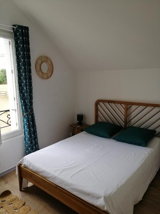 Apartment Bel Appt 3 Pieces, A L'etage, Jardin Privatif, Au Calme, 10 Mn Saumur Et Cnpe *